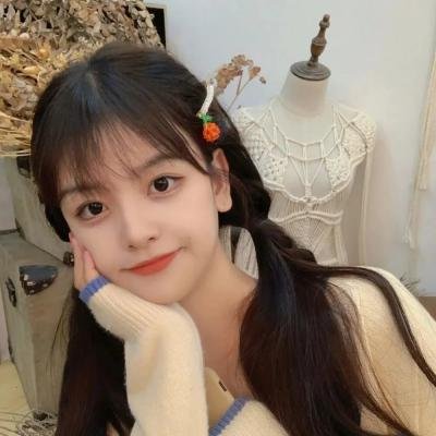 红龟红乌龟:小岛物语